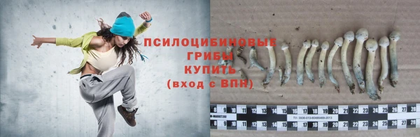 гидропоника Абинск