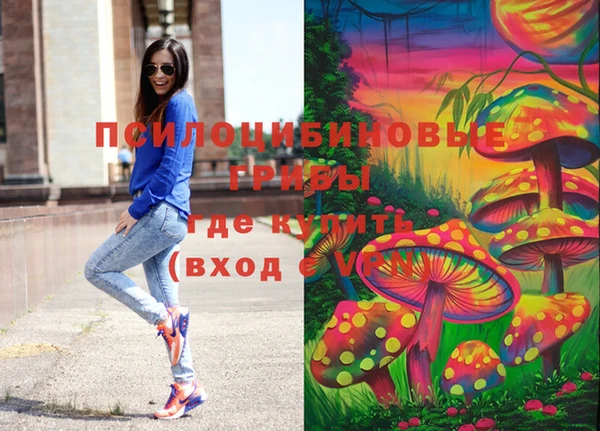 ешки Абаза