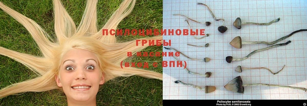 ешки Абаза