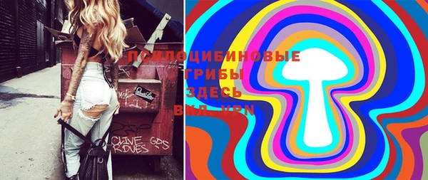 ешки Абаза