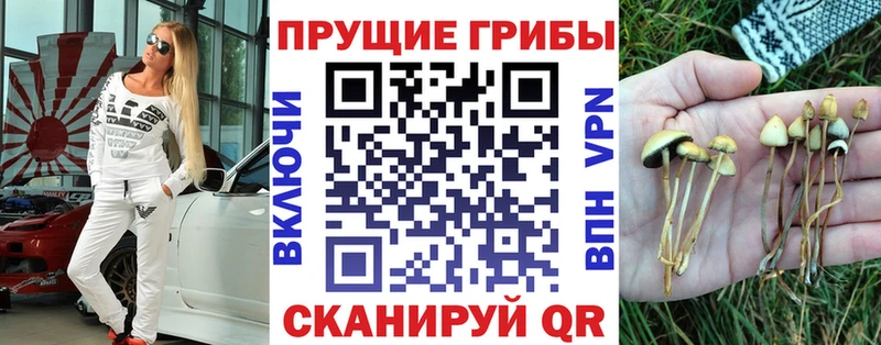 Псилоцибиновые грибы прущие грибы  blacksprut как войти  Сокол 
