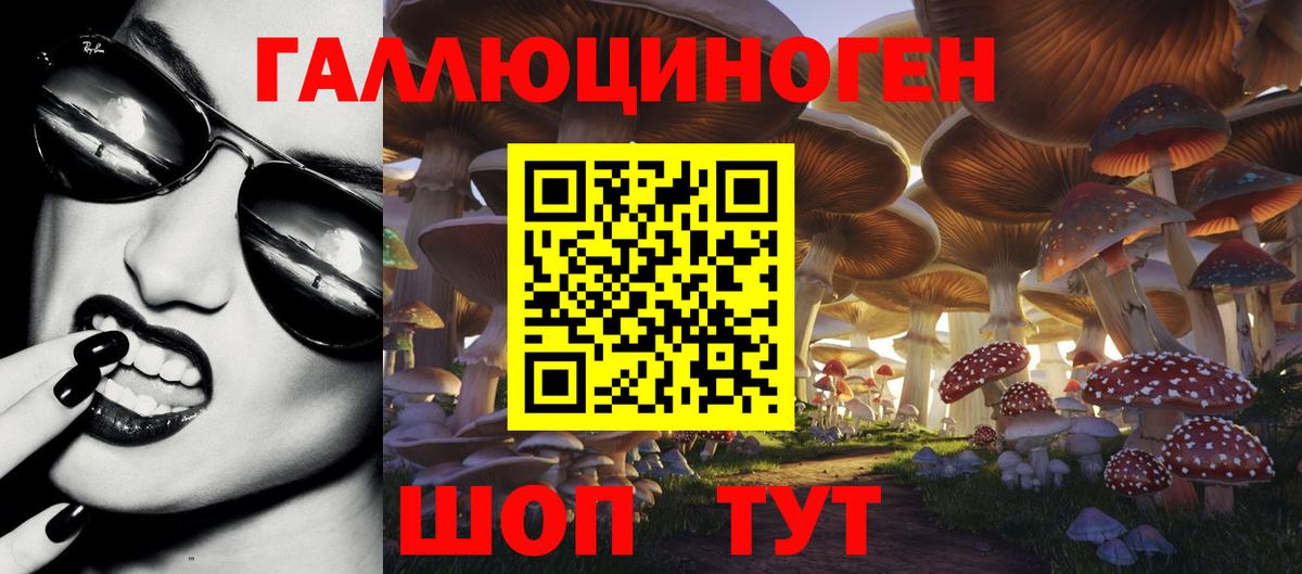Галлюциногенные грибы мицелий  Вход с VPN  как найти   Сокол  Псилоцибиновые грибы Psilocybine cubensis 